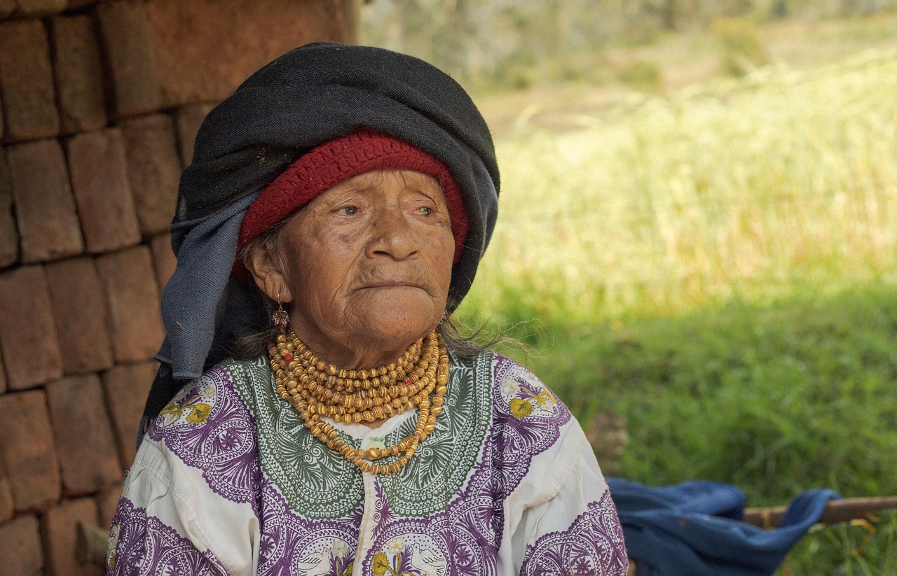 Mujer Indígena Rostro Foto gratis en