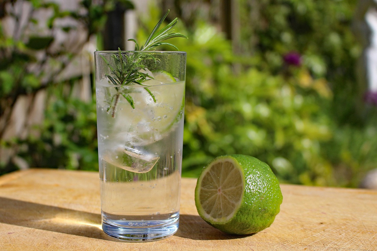 Gin Alcohol Drink Free photo on Pixabay Pixabay