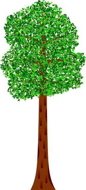 Free tree plant forest illustration