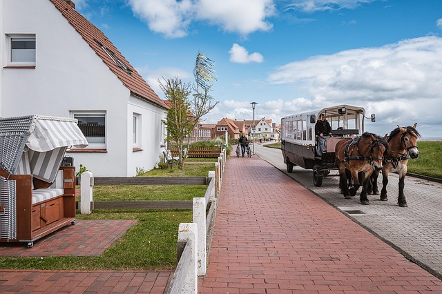 Free North Sea Island photo and picture