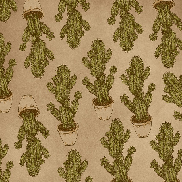 Free cactus plant desert illustration