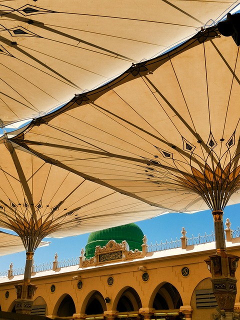 Free Architecture Mosque photo and picture
