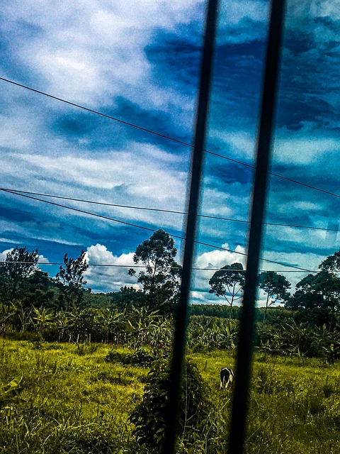 Free Landscape Pastoral photo and picture