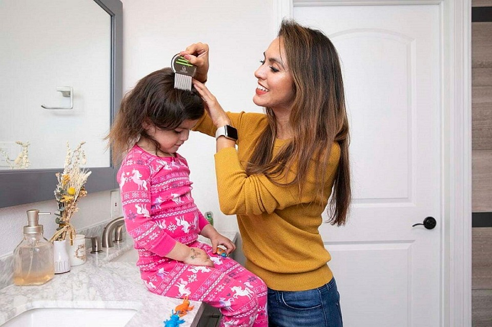 Best Lice Treatment Head Free photo on Pixabay Pixabay