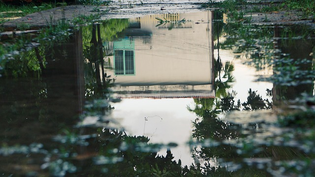 Free Nature Rain photo and picture