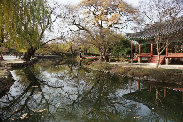 Free Pond Namwon photo and picture