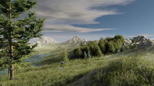 Fjell, Skog, Gress, Landskap, Natur