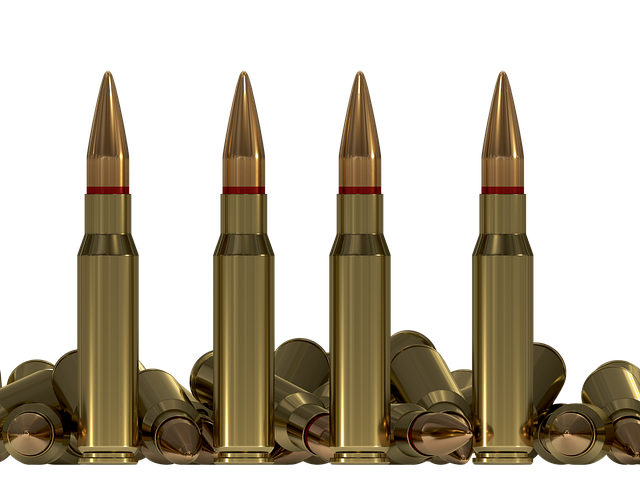 Free ammo bullets shells illustration