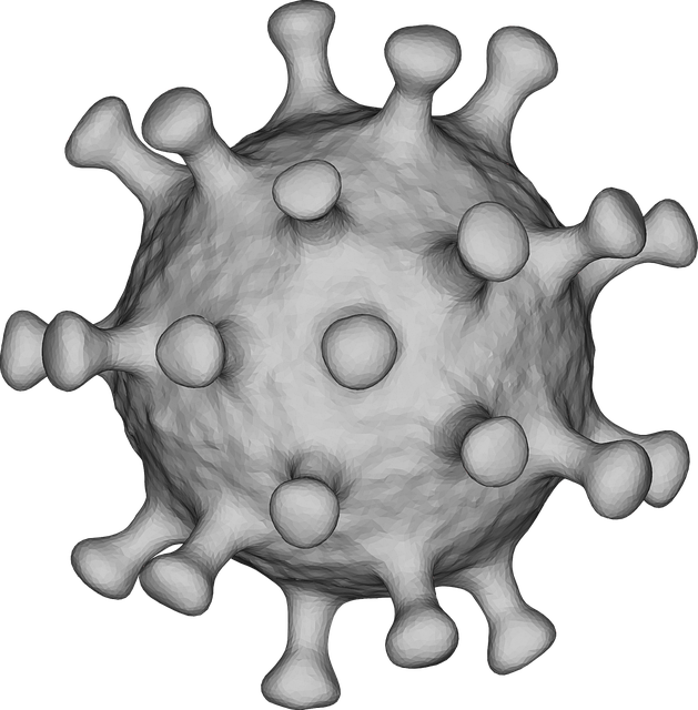 Free coronavirus covid-19 corona vector