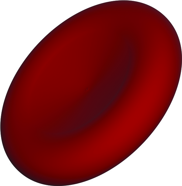 Las Células Rojas De La Sangre, Salud