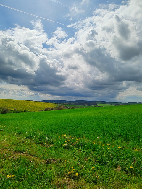 Eng, Græs, Himmel, Natur, Skyer, Grøn