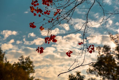 Free Nature Landscape ai generated image and illustration