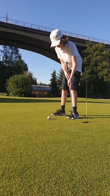 Free Game Golf photo and picture