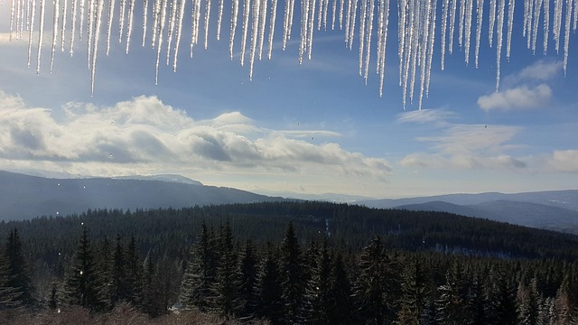 Free Frost Icicles photo and picture