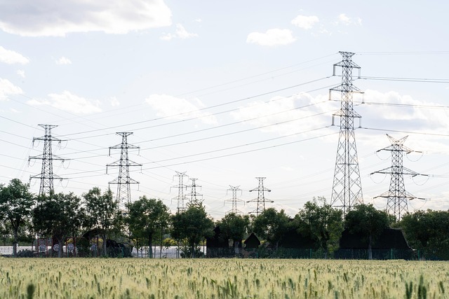Free Summer Electric Wire photo and picture
