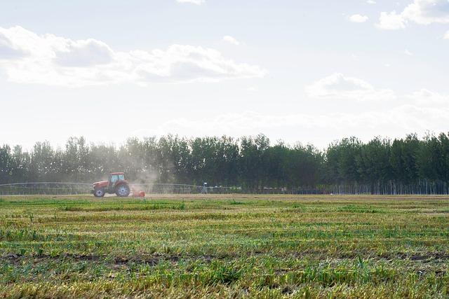 Free Harvester Bumper Harvest photo and picture