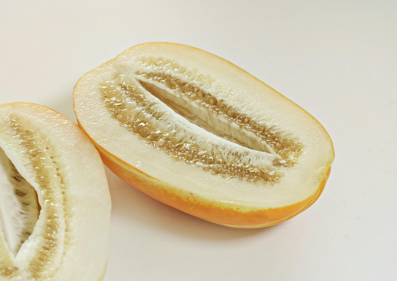 Download free HD stock image of Melon Fruit Free Melon Fruit photo and picture