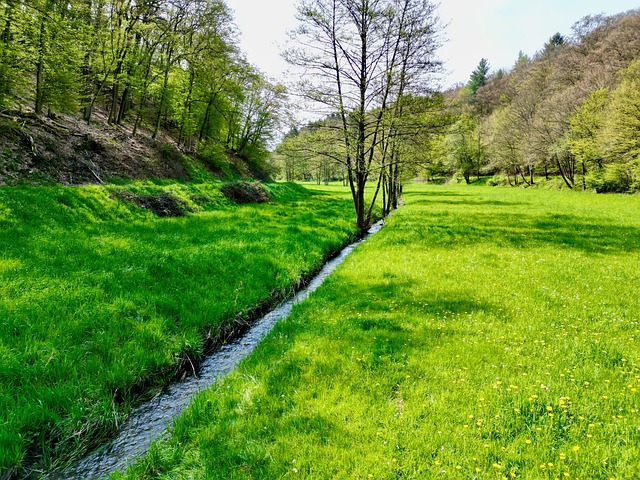 Vallée La Nature Paysage Vue À Vol - Photo gratuite sur Pixabay - Pixabay