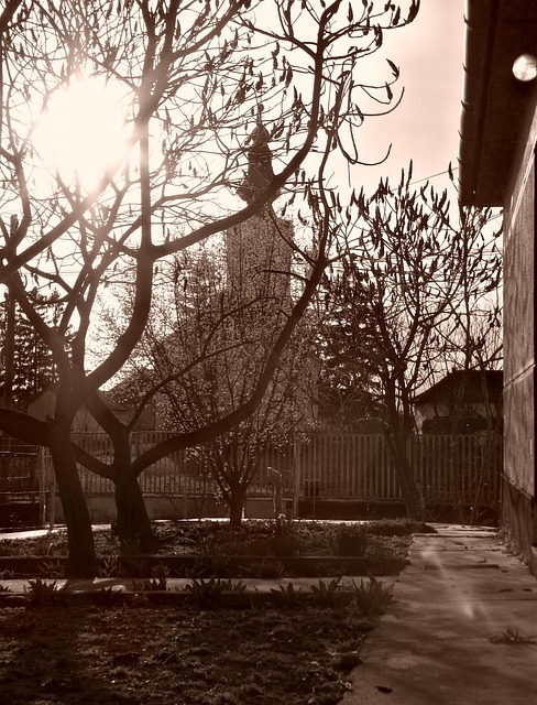 Free Sepia Church photo and picture