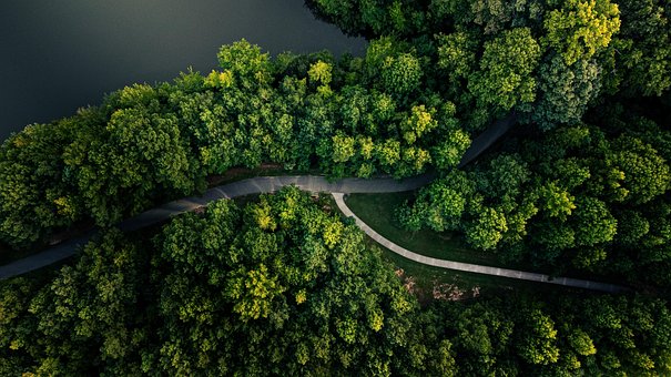 Free Aerial Aerial View photo and picture