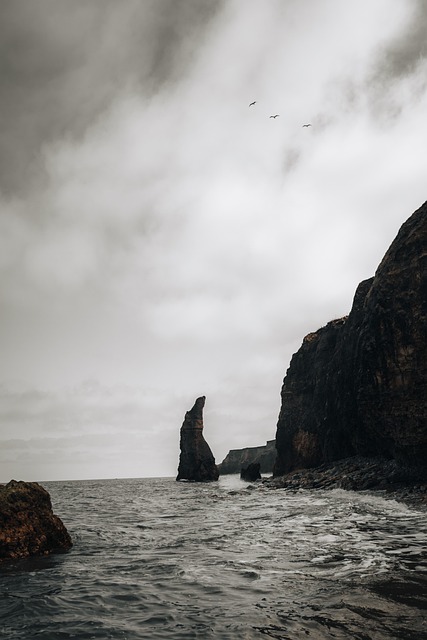 Free Beach Coast illustration and picture