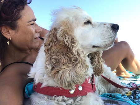 Free Mydog Dog photo and picture