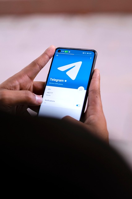 Free Telegram Social photo and picture