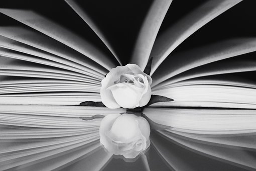Free Book Read photo and picture