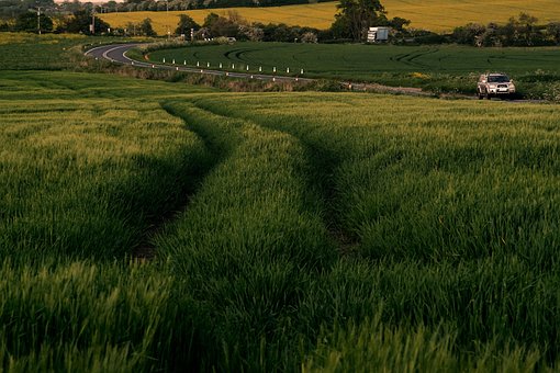 Free Field Landscape photo and picture