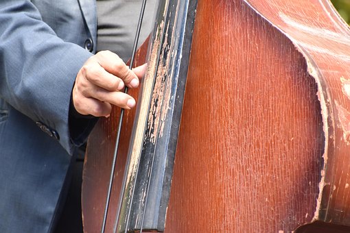 Bajo, Instrumento Musical, Arte, Musico