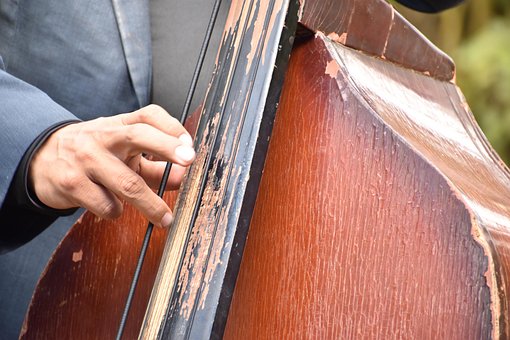 Bajo, Musica, Instrumento Musical