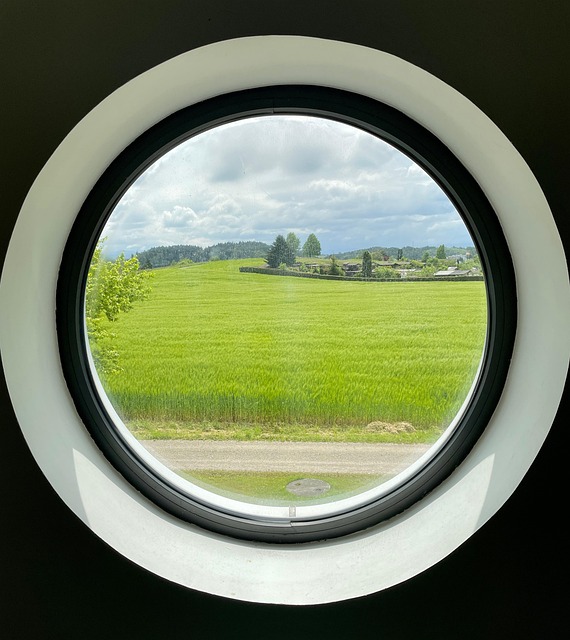 Free Window Nature photo and picture