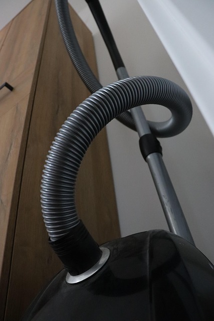 Free Vacuum Cleaner Clean Up photo and picture