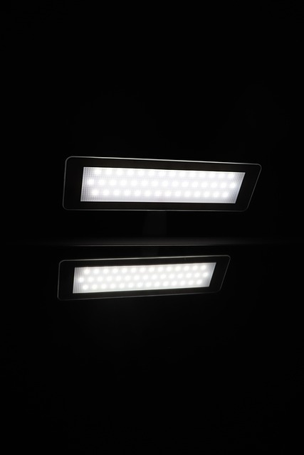 Free Lamp Lamps photo and picture