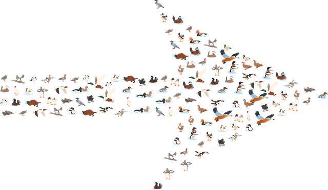 Free ducks arrow direction vector