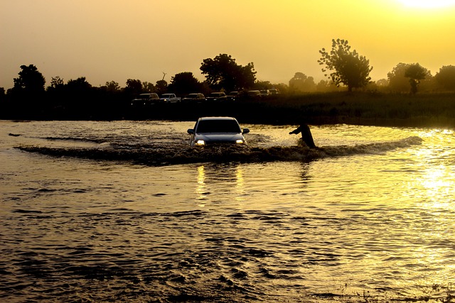 Free Flooding Rain photo and picture