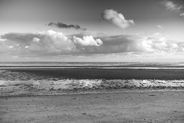 Free Sea Coast photo and picture
