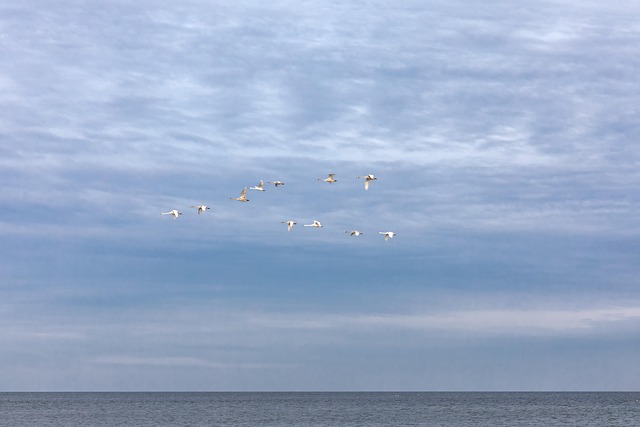 Free Sea Coast photo and picture