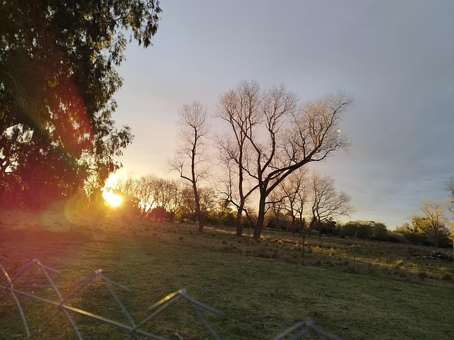 Free Argentina Field photo and picture