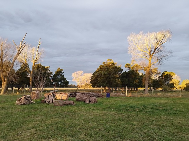 Free Field Sunset photo and picture
