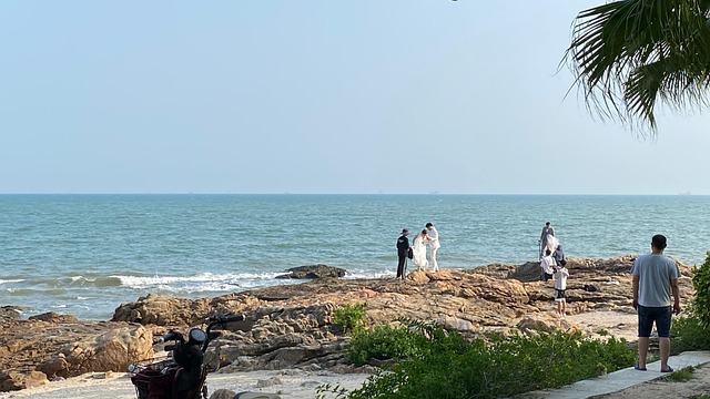 Free Beach Wedding Photo photo and picture