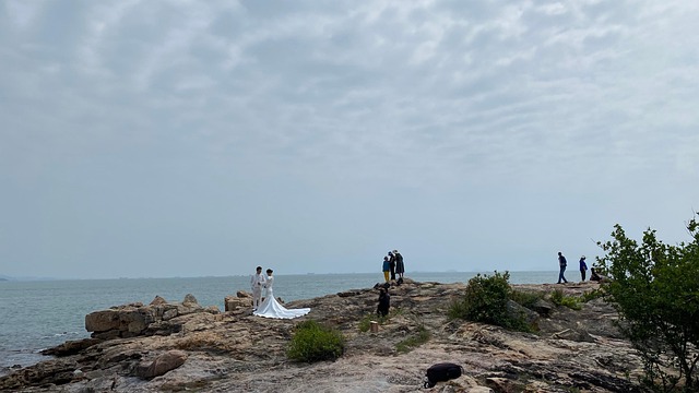 Free Wedding Photo Beach photo and picture