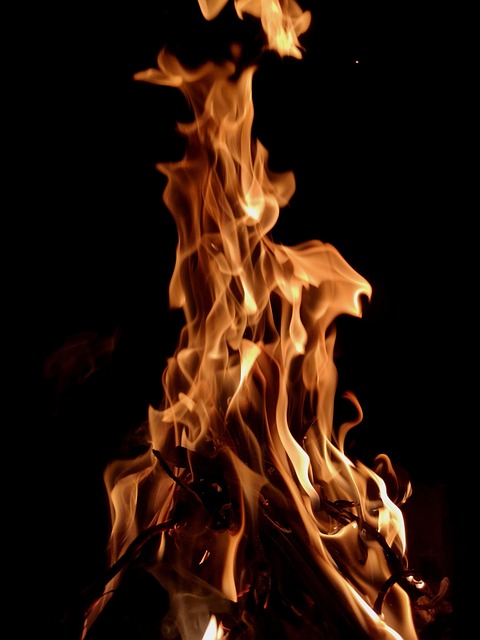 Free Fire Wood photo and picture