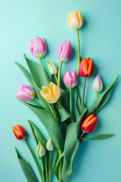 Tulipas, Flores, Plantas, Botânica