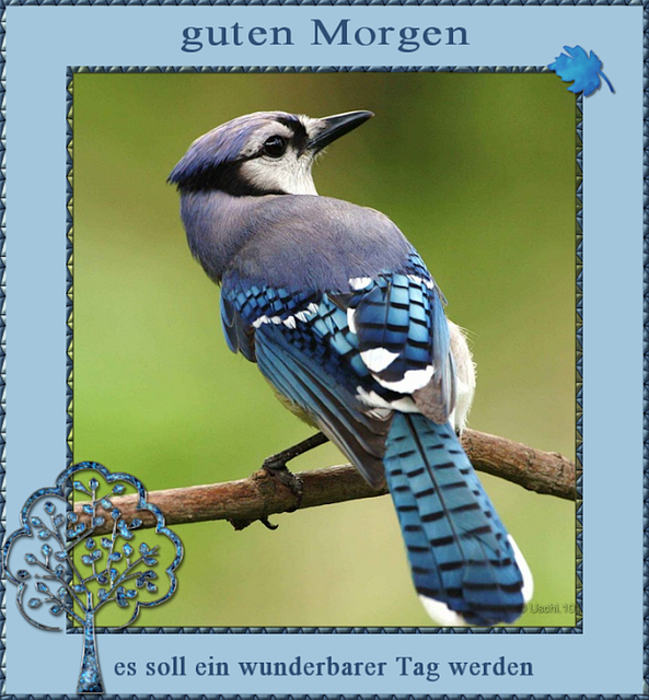 Grüße, Guten Morgen, Morgens, Farbe