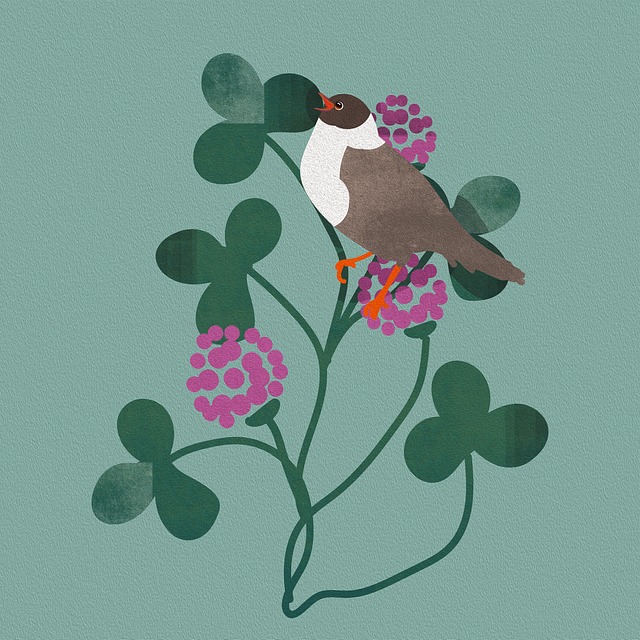 Free flowers bird clover illustration