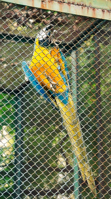 Free Nature Forest photo and picture