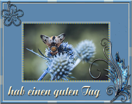 Guten Morgen, Biene, Stechen, Gruß