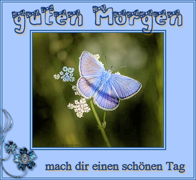 Erstaunlich Tagesgrsse Mit Herz Kostenlos Fotosnull
