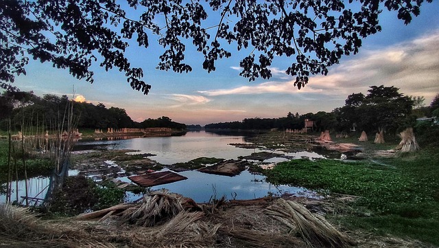 Free Nature Landscape photo and picture
